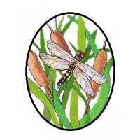 Stormwater Operations Specialists